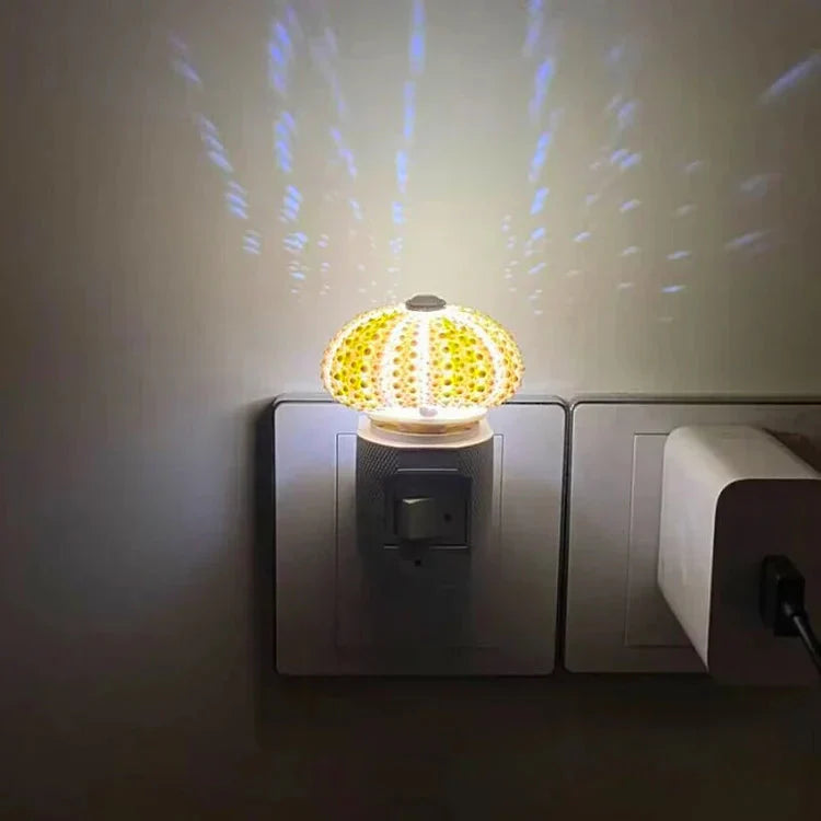 Kreative DIY-Seeigel-Leuchte