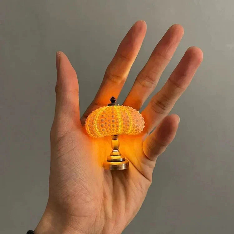Kreative DIY-Seeigel-Leuchte