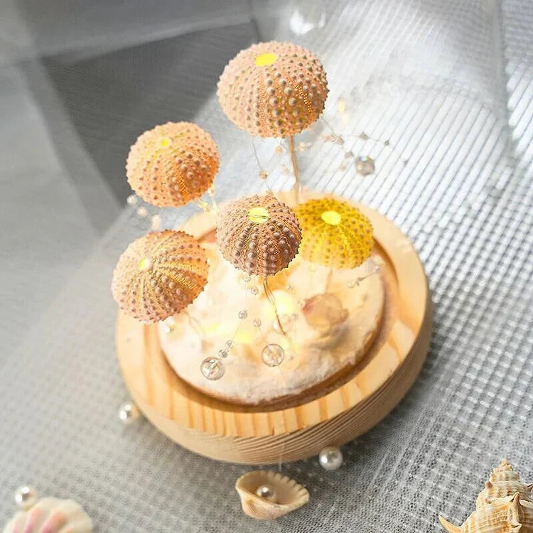Kreative DIY-Seeigel-Leuchte