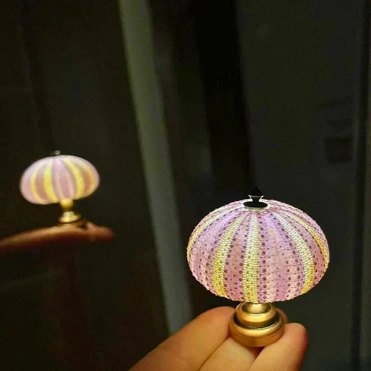 Kreative DIY-Seeigel-Leuchte
