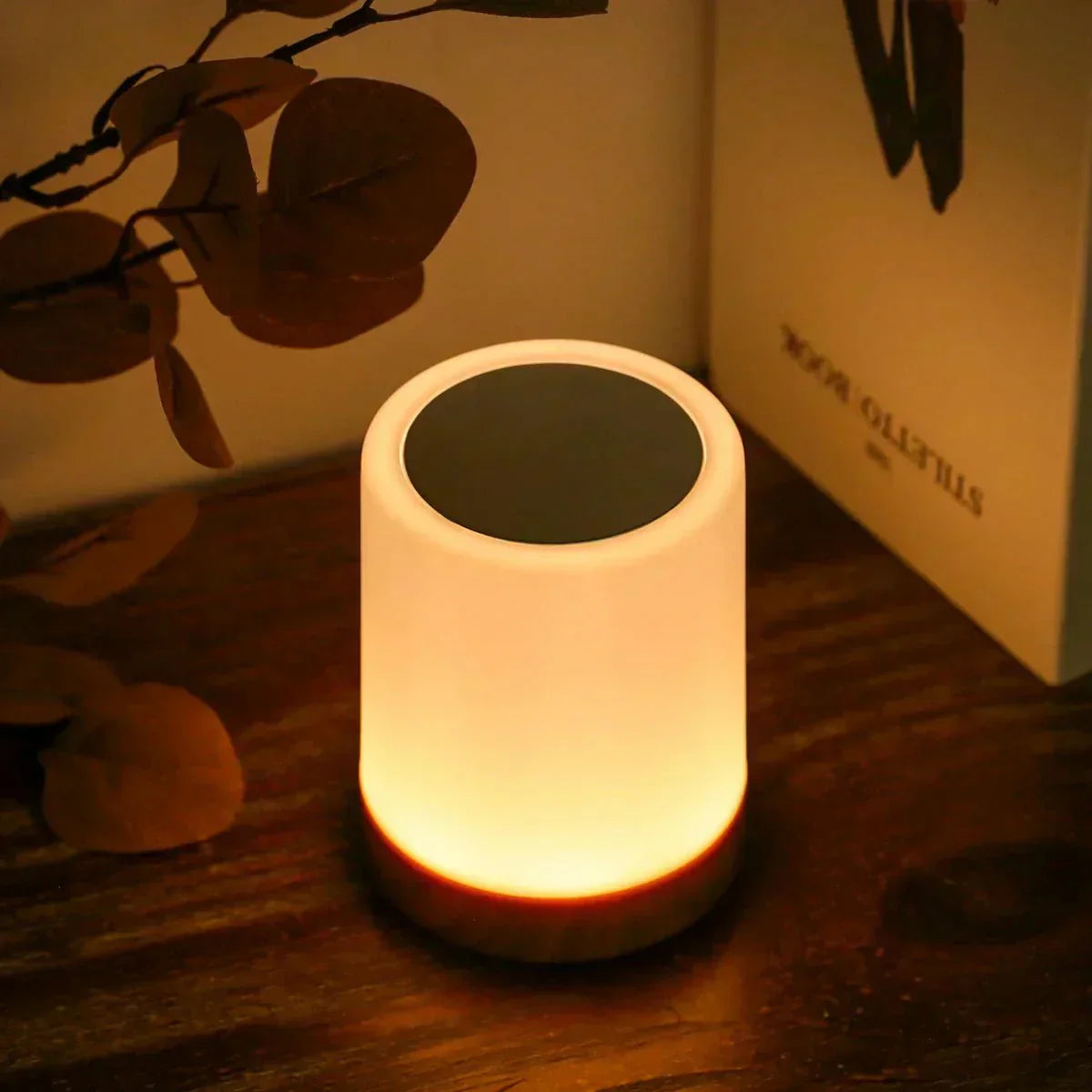 Zylindrische Lampe mit Holzfuß